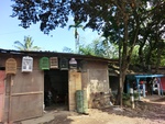 31081CIMG0943.JPG