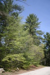 231IMG_4127.JPG
