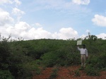 7911gt110b_scrubalnd_shrubland.jpg