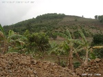 40511Anh5575.jpg