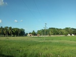 5794100_1396.JPG