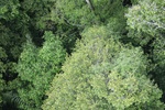 2024-10-10_17-18-12_99E6AA23-95AE-4C1E-9633-E6CBC86EACC1.jpeg