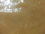 58133CIMG2436.JPG