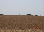 29840CIMG1279.JPG