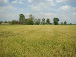 9176DSC01725.JPG