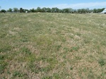 29226KIN220110412N.JPG