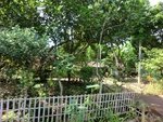 31452CIMG1316.JPG