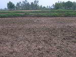 34625RIMG0092.JPG