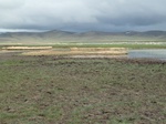 23275P1020951.JPG