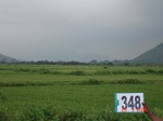 132510348c-irrigated-supplemental-tank-rice-doublecrop.gif