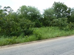 19632P1010479.JPG