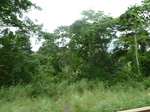 20274P1020129.JPG