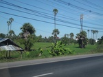 26721IMG_3866.JPG