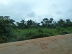 21095P1020972.JPG