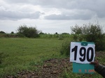 126940190b-rainfed-hilly-agriculture-sorghum.gif