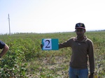 11421002-irrigated-cotton-sw-1a.jpg