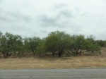 35387DSC02899.JPG