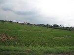 15644IMG_4716.JPG