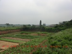 39032CIMG1652.gps.jpg