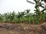 50763CIMG1392.JPG