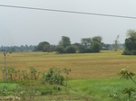 1685902052008(19).JPG