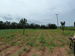 18860P1000702.JPG
