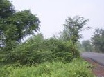 1161R0015030_small.jpg
