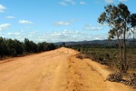 28484P1010495-1.JPG