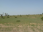 19151P1000996.JPG