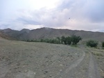 37315CIMG1117.JPG