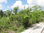 29543IMG_5144.JPG