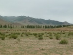 23527P1030388.JPG