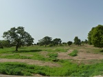 18940P1000784.JPG