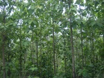 28271RIMG0273.JPG