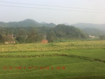 39014CIMG1578.gps.jpg