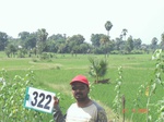 131620322c-irrigated-canal-rice.gif