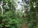 50915CIMG0244.JPG