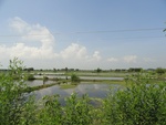 24612DSC00831.JPG
