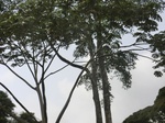 48653CIMG4990.JPG