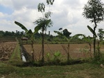 31566CIMG1432.JPG