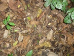 46824DSC02162.JPG