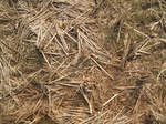 8416IMG_0241.JPG