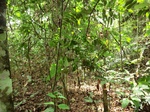 46273CIMG0562.JPG