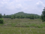 28240RIMG0240.JPG