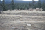 2022-11-02_16-02-40_BBEFE834-6E30-42EE-A804-84BD776494E4.jpeg