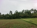 30724CIMG0564.JPG