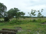 55015Berau (315).JPG