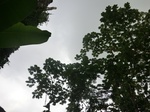 45255CIMG2340.JPG