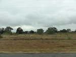 35787DSC02549.JPG
