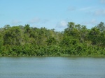 54635Bulungan (145).JPG